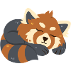 Red Panda Sleeps