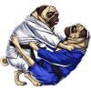 Jiu-Jitsu Pugs