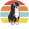 Chien Bernedoodle
