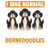 Chien Bernedoodle