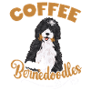 Bernedoodle Dog