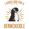 Bernedoodle Hund