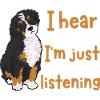 Bernedoodle Hund