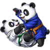 Panda Bears Jiu-Jitsu