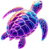 Tortue