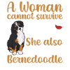 Bernedoodle Hund