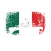 Mexican flag marimba player marimbist