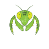 Praying mantis flying nature