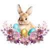 Rabbit in the nest