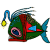 anglerfisch