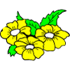 Fleur