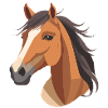 Horse's head