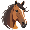 Horse's head