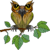 Bunter Vogel