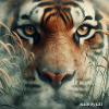 Tiger Love ...... Species conservation