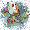 Bunter Vogel