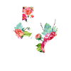 Texas