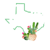 Texas