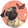 Pug with butterfly