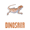 Gecko