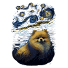 Pomeranian Starry Night