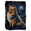 Zwergspitz Starry Night