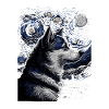 Husky Nuit étoilée