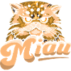 Miau Katze Cat Haustier