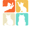 Cat Motif