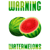 Watermelon Angurie Arbuse Pastry Gift