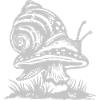 Snail Mushroom