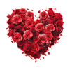 Herz Rosen