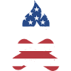 Camper Us Flag Camping