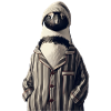 Pinguin im Pyjama