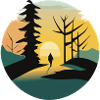 Sunrise in the forest