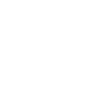 Cocker Spaniel Dog