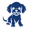 Cocker Spaniel Dog