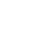 Cocker Spaniel Dog