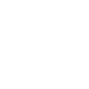 Cocker Spaniel Dog