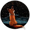 Fox with starry sky