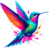 Colibri
