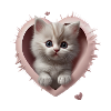 Chaton coeur.