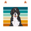 Chien Bernedoodle