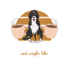 Bernedoodle Dog