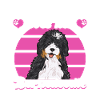 Bernedoodle Dog