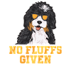 Bernedoodle Hund