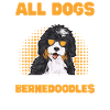 Chien Bernedoodle