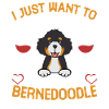 Chien Bernedoodle
