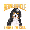Chien Bernedoodle