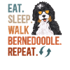 Chien Bernedoodle
